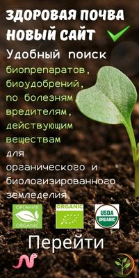 Image_3.png