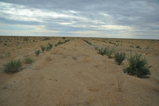 Image_4.png
