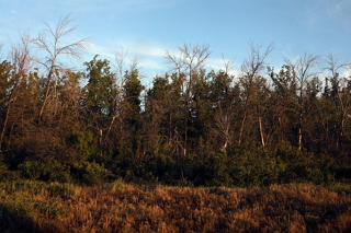 picture 1